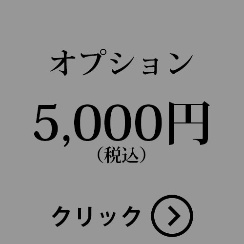 オプション5,000円分です おしゃれ