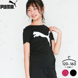 プーマ tシャツ 半袖 女の子 黒 白 ロゴT ドライ PUMA 120cm 130cm 140cm 150cm 160cm 半袖Tシャツ スポーツ ブランド おしゃれ ピンク 吸汗速乾 体育 部屋着 小学生 小学校 運動会 部活動 メール便送料無料