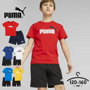 プーマ tシャツ 半袖 ハーフパンツ 上下 セットアップ キッズ ジュニア 男の子 女の子 120cm 130cm 140cm 150cm 160cm PUMA 子供服 トップス ボトムス Tスーツ春夏 半袖Tシャツ 白 綿100