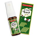 【あす楽 14時〆 土日も出荷】 森川健康堂 プロポリススプレー 20ml 天然の抗菌物質 喉にやさしい 家族 健康