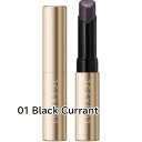 LUNASOL(ルナソル) フォービドゥングリッツ 2.7g #01 Black Currant