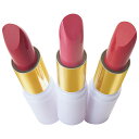 【2個セット】【ネコポス】カラーリングルージュリッチ 3g口紅 化粧品 美容 コスメ 1セットから送料無料