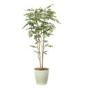 【直送品・大感謝価格 】マウンテンアッシュ1.8 900A360 光触媒人工植物 光の楽園 2019 W80×D70×H180cm