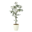 【直送品・大感謝価格 】オリーブ1.3 909A200 光触媒人工植物 光の楽園 2019 W60×D60×H130cm