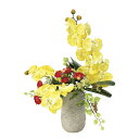【直送品・大感謝価格 】サンマリノ 922A100 光触媒人工植物 光の楽園 2019 【別途送料が発生する場合あり・ラッピングは有料(不可の場合あり)】