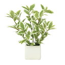 【直送品・大感謝価格 】ミニリーフG/W 935A25 光触媒人工植物 光の楽園 2019 W20×D20×H21cm【別途送料が発生する場合あり・ラッピングは...