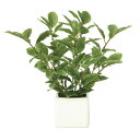 【直送品・大感謝価格 】ミニリーフ 936A25 光触媒人工植物 光の楽園 2019 W20×D20×H21cm【別途送料が発生する場合あり・ラッピングは有料(...