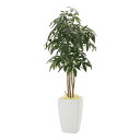 【直送品・大感謝価格 】アーバンパキラ1.8 941A600 光触媒人工植物 光の楽園 2019 W70×D70×H180cm