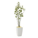 【直送品・大感謝価格 】アーバンブランチツリー1.8 944A450 光触媒人工植物 光の楽園 2019 W60×D50×H180cm
