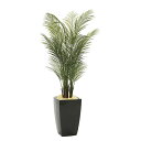 【直送品・大感謝価格 】アーバンアレカパーム1.7 945A580 光触媒人工植物 光の楽園 2019 W70×D65×H170cm