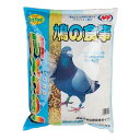 【3個セット】エクセル 鳩の食事 6kgx3個セット【ヘルシ価格】 ペット 鳥 食品 栄養補給 エサ 餌