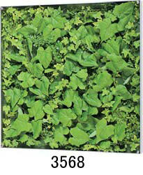 大感謝価格 薄型BOXフレーム ウォールグリーン 3568or3569 直送品。代引不可・同梱不可・返品キャンセル・割引不可 観葉植物 壁掛け ディスプレイ 飾る インテリア 雑貨 グッズ 薄型BOXフレーム ウォールグリーン 3568or3569送料無料