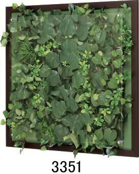 大感謝価格 木目フレームウォールグリーン 3351or3352or3353or3354 直送品。代引不可・同梱不可・返品キャンセル・割引不可 観葉植物 壁掛け ディスプレイ インテリア 雑貨 グッズ送料無料