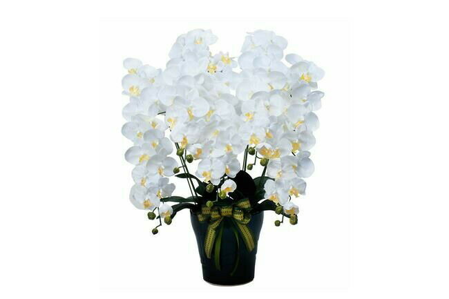 『光触媒 光の楽園 ロイヤル胡蝶蘭5本立W 532a300』『直送品。代引不可・同梱不可・返品キャンセル・割引不可』アートフラワー インテリア プレゼント ギフ...