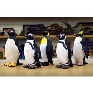 【直送品・大感謝価格 】選べるペンギン ビニールモデル 5体セット 70679-72308-72309-72311-72312