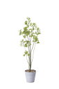 【直送品・大感謝価格 】光触媒人工植物 光の楽園 2018 ブランチツリー 1.7m 813A250 W50×D55×H170cm【鉢が変更になります(2022...