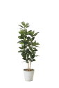 【直送品・大感謝価格 】光触媒人工植物 光の楽園 2018 ゴムノ木1.6 824A320 W58×D50×H160cm【鉢が変更になります(2022.06)】