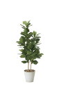 【直送品・大感謝価格 】光触媒人工植物 光の楽園 2018 カシワバゴム1.6 825A380 W65×D60×H160cm【鉢が変更になります(2022.06...