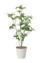 【直送品・大感謝価格 】光触媒人工植物 光の楽園 2018 サラサドウダン90 827A90 W45×D40×H90cm【画像器が変更の場合あり】【別途送料が発...