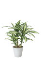 【直送品・大感謝価格 】光触媒人工植物 光の楽園 2018 幸福ノ木 829A120 W55×D55×H60cm【画像器が変更の場合あり】【別途送料が発生する場...
