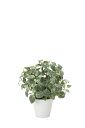 【直送品・大感謝価格 】光触媒人工植物 光の楽園 2018 フィットニアM 832A100 W40×D40×H48cm【別途送料が発生する場合あり・ラッピングは...