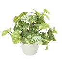 【直送品・大感謝価格 】光触媒人工植物 光の楽園 2018 マーブルポトス 836A30 W40×D30×H25cm【別途送料が発生する場合あり・ラッピングは有...