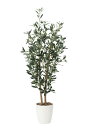 【直送品・大感謝価格 】光触媒人工植物 光の楽園 2018 オリーブ1.2 869A200 W48×D37×H120cm