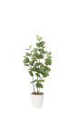 【直送品・大感謝価格 】光触媒人工植物 光の楽園 2018 シーグレープ1.2 870A150 W50×D35×H120cm【別途送料が発生する場合あり・ラッピ...