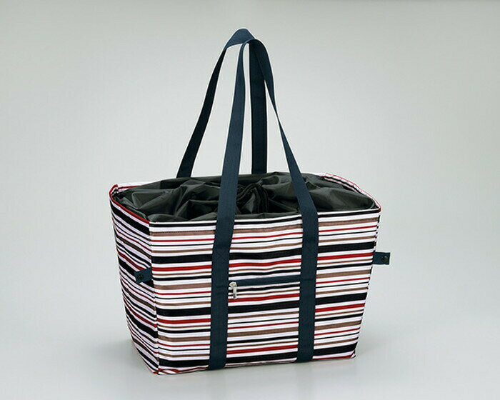 【直送品・大感謝価格】たくさん入る肩かけできる保冷レジカゴバッグ RKB-2000 2020STAGE GIFT CATALOG..