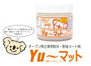 【直送品】オーブン陶土専用 防水・耐油コ−ト剤「Yu〜マット」 100cc 2個セット【ヘルシ価格】日用品雑貨 クラフト 手作り 陶芸 粘土