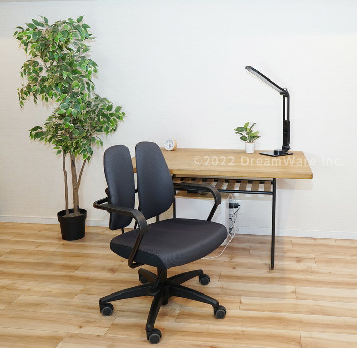 ľʡDUOREST ǥ奪쥹 DR-260F ɥåȥ֥å/ɥåȥ֥롼 59.55784-95cmڥإ륷ʡۥƥꥢ ȶ ػ  եȶ