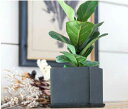 【直送品】スクエアポット W10.5×D10.5×H9.5 ブラック/シルバー 63664/63665 POSH LIVING 2022 Collection GREEN 291シリーズ【ヘルシ価格】インテリア 観葉植物 花 植木鉢 プランター