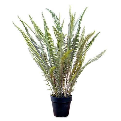 ľʡۥܥȥե 80978 W37D40H76 POSH LIVING 2022 Collection GREEN 291...