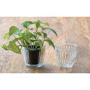 【3個セット】【直送品】ポット 22330 φ13.5×H15 POSH LIVING 2022 Collection GREEN 291シリーズ【ヘルシ価格】インテリア インテリア小物 置物 花瓶 観葉植物 植物ポット