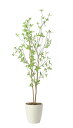 【直送品】クロモジ1.6 2415A260 W60×D45×H160cm 光触媒人工植物 光の楽園 2024【割引不可品】インテリア 人工観葉植物 アートフラワ...