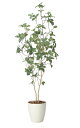 【直送品】サラサドウダン1.6 2416A280 W60×D40×H160cm 光触媒人工植物 光の楽園 2024【割引不可品】インテリア 人工観葉植物 アート...