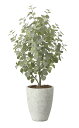 【直送品】ナチュラルユーカリツリー1.5 2422A600 W80×D65×H150cm 光触媒人工植物 光の楽園 2024【割引不可品】インテリア 人工観葉植...