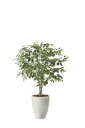 【直送品】ナチュラルフィカスツリー1.5 2424A590 W90×D80×H150cm 光触媒人工植物 光の楽園 2024【割引不可品】インテリア 人工観葉植...