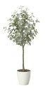 【直送品】ユーカリツリー1.65 2425A320 W60×D55×H165cm 光触媒人工植物 光の楽園 2024【割引不可品】インテリア 人工観葉植物 アー...