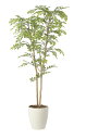【直送品】ライトトネリコ1.3 2430A240 W60×D50×H130cm 光触媒人工植物 光の楽園 2024【割引不可品】インテリア 人工観葉植物 アート...