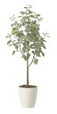 【直送品】ユーカリツリー1.35 2432A220 W50×D45×H135cm 光触媒人工植物 光の楽園 2024【割引不可品】インテリア 人工観葉植物 アー...