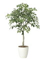 【直送品】フィカスツリー1.35 2434A210 W75×D75×H135cm 光触媒人工植物 光の楽園 2024【割引不可品】インテリア 人工観葉植物 アー...