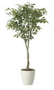 【直送品】フィカスツリー1.65 2435A290 W85×D80×H165cm 光触媒人工植物 光の楽園 2024【割引不可品】インテリア 人工観葉植物 アー...