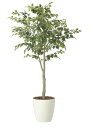 【直送品】フィカスツリー1.85 組立式 2438A430 W90×D80×H185cm 光触媒人工植物 光の楽園 2024【割引不可品】インテリア 人工観葉植...