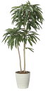 【直送品】アムステルラバーキング1.6 2439A430 W70×D65×H160cm 光触媒人工植物 光の楽園 2024【割引不可品】インテリア 人工観葉植物...