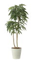 【直送品】アムステルラバーキング1.8 2440A500 W75×D70×H180cm 光触媒人工植物 光の楽園 2024【割引不可品】インテリア 人工観葉植物...