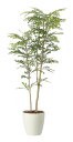 【直送品】ツートントネリコ1.6 2442A380 W73×D50×H160cm 光触媒人工植物 光の楽園 2024【割引不可品】インテリア 人工観葉植物 アー...