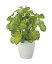 【直送品】バウヒニア 2446A60 W35×D30×H40cm 光触媒人工植物 光の楽園 2024【割引不可品】インテリア 人工観葉植物 アートフラワー ギフト 贈り物 花 6,820円
