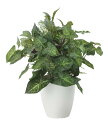 【直送品】ミックスカラージューム 2448A50 W35×D35×H42cm 光触媒人工植物 光の楽園 2024【割引不可品】インテリア 人工観葉植物 アートフ...