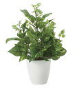 【直送品】ポトスL 2449A50 W35×D30×H47cm 光触媒人工植物 光の楽園 2024【割引不可品】インテリア 人工観葉植物 アートフラワー ギフト...